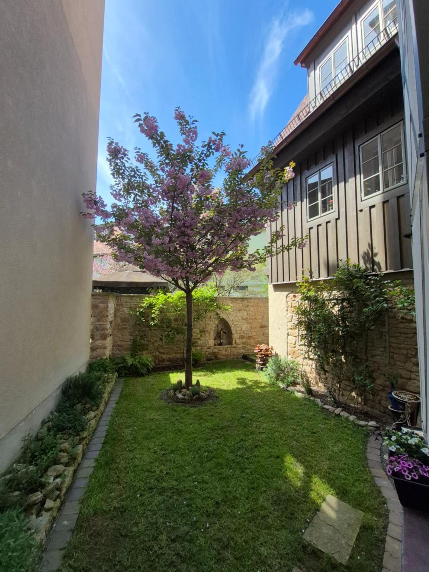 Aussergewoehnliches, Historisches, Spaetgotisches Wohnhaus Von 1519, Gries 5 Gera Extérieur photo