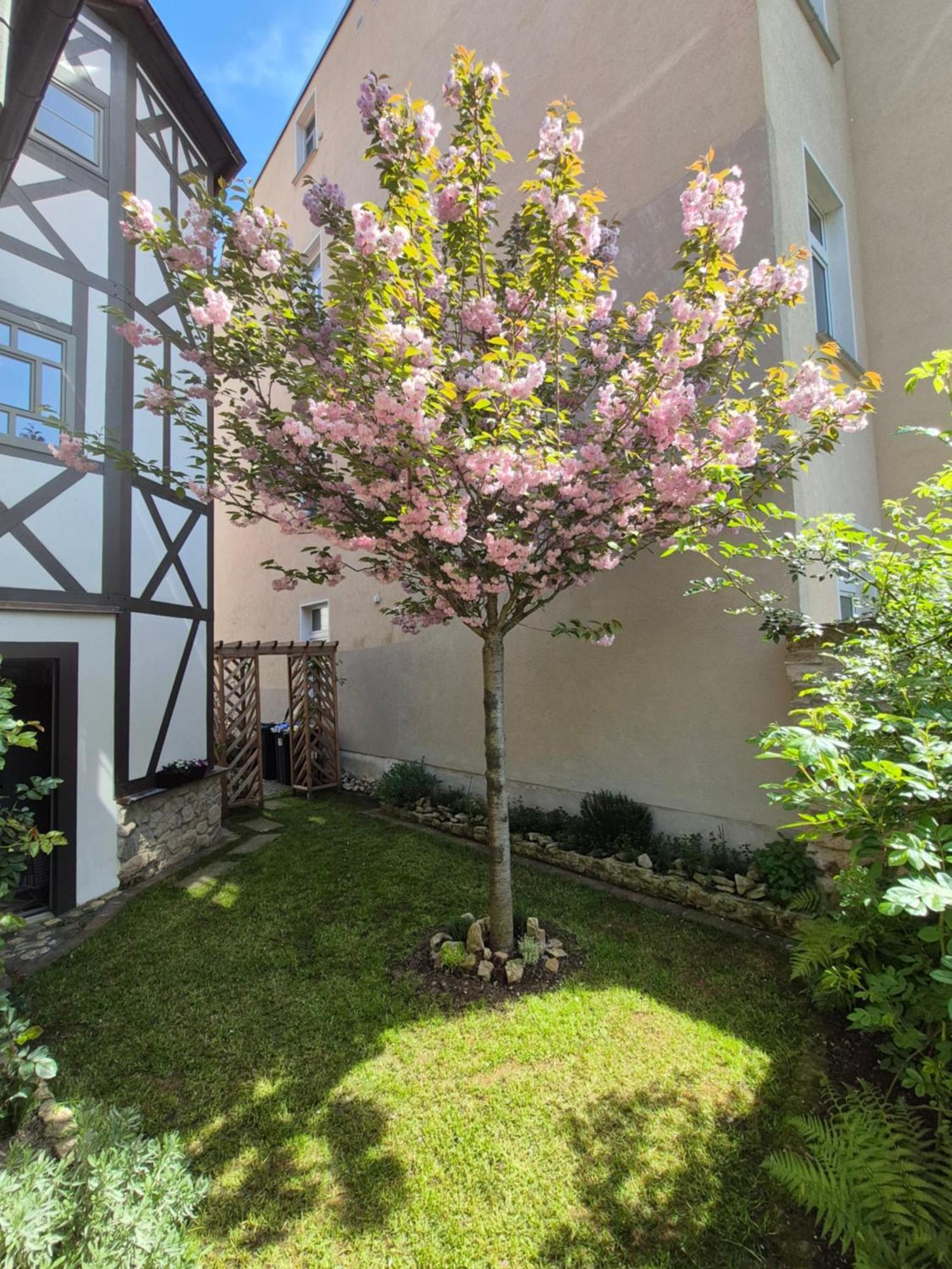 Aussergewoehnliches, Historisches, Spaetgotisches Wohnhaus Von 1519, Gries 5 Gera Extérieur photo